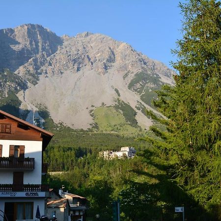 Albergo - B&B Alpina Premadio Buitenkant foto