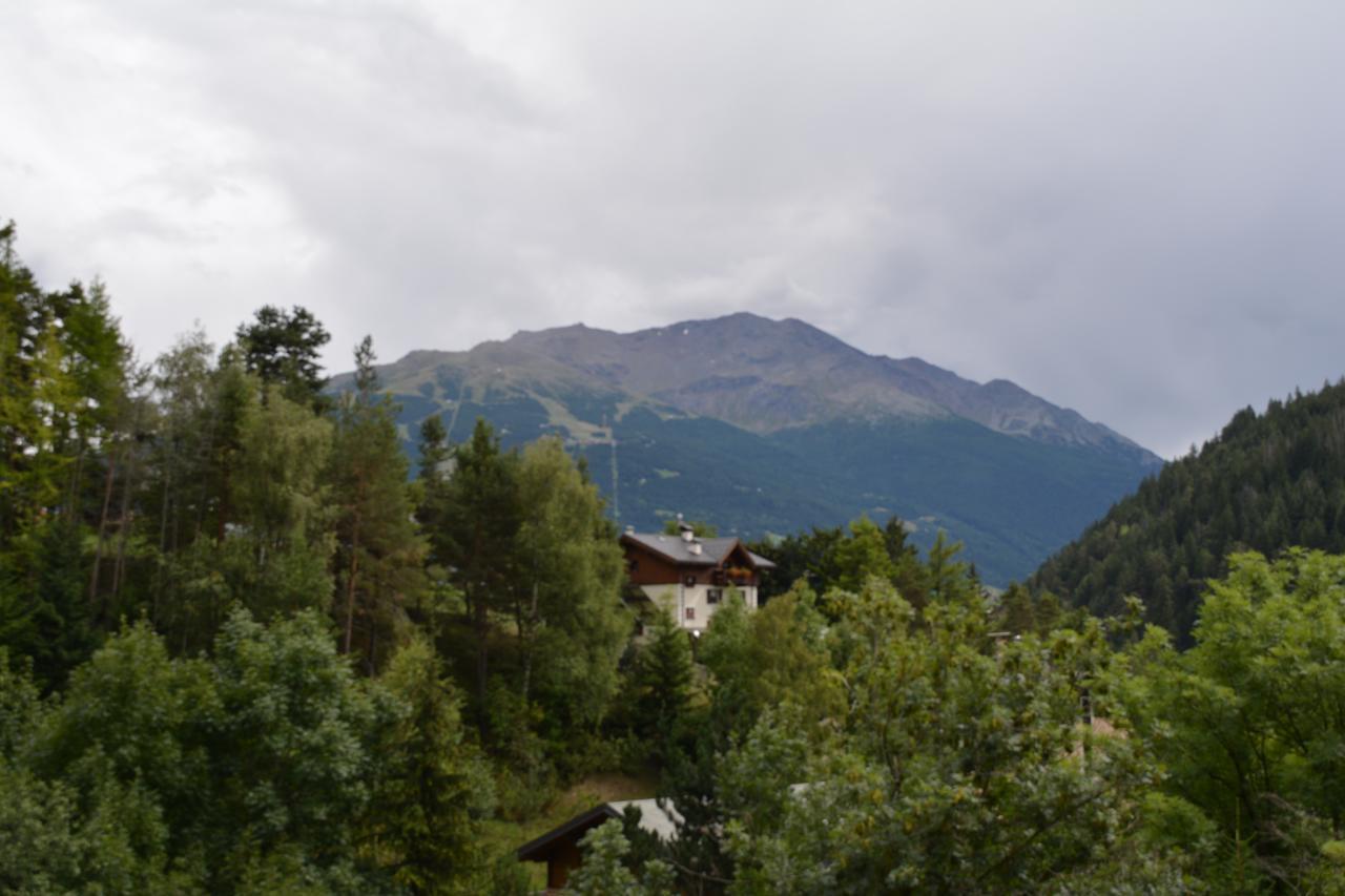 Albergo - B&B Alpina Premadio Buitenkant foto